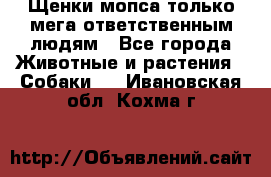 Щенки мопса только мега-ответственным людям - Все города Животные и растения » Собаки   . Ивановская обл.,Кохма г.